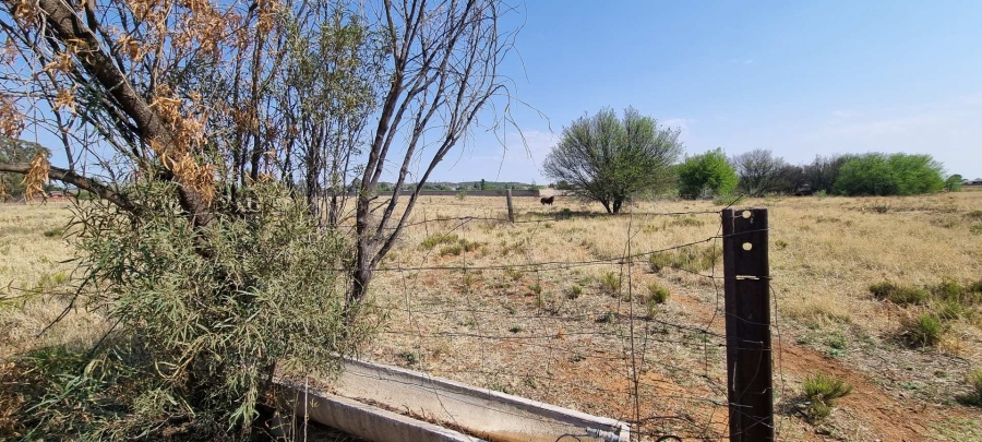 3 Bedroom Property for Sale in Quaggafontein Free State